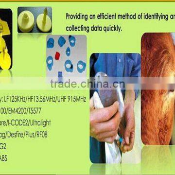 Animal Electronic Identification 134.2kHz RFID Ear Tag photo-3