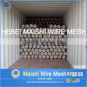 Hexagonal Mesh 1/2inch 1.2m With Low Price photo-3