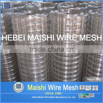 1/2''x1/2'' Welded Wire Mesh photo-2