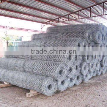 Hexagonal wire mesh