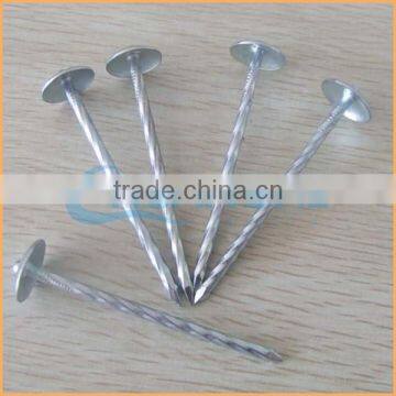 Manufacture High Quality Low Price Iron Nails Hard Drawn Wire 2.1mm for Making Nails photo-4