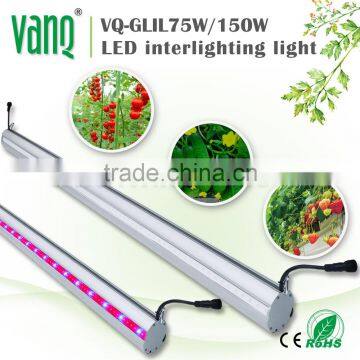 Vanqled indoor greenhouse with grow lights&led strip for plants&led lights agriculture 75w high PPFD more harvest,red/blue grow