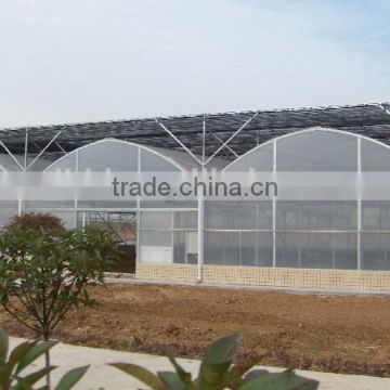 BLD Tunnel Plastic Film Greenhouse