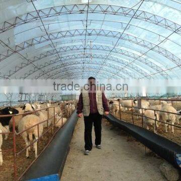 PE Film Greenhouse photo-4