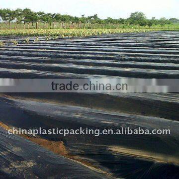 PE Agricultural Black Mulch Film With Holes photo-5