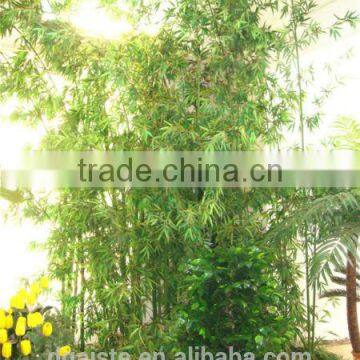 artificial green bonsai [PZ-02]( tropical rainforest / Jungle tree sale of Este )