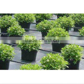 Anti uv Plastic Eco Friendly Waterproof Fabric Ground Cover photo-4