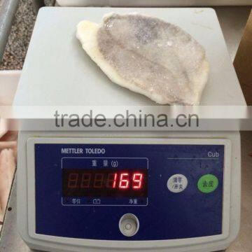 Frozen John Dory Fillet Zeus Faber Fillet 150-200g photo-3