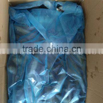 China Frozen Horse Mackerel Fish Yellow Tail Fishing Trawlers photo-5