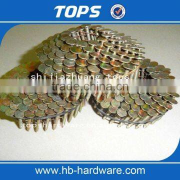Yellow Zinc Galvanized Coiled Roofing Nails photo-3