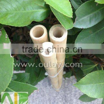Decoration Short Tonkin Bamboo Cane/pole photo-3