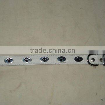 Dog Collars