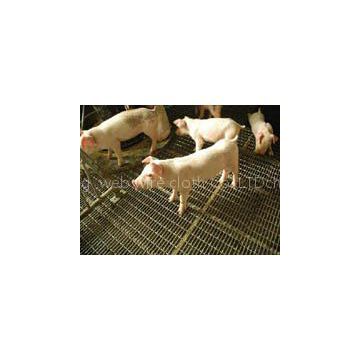 Crimped wire  pig-raising  mesh