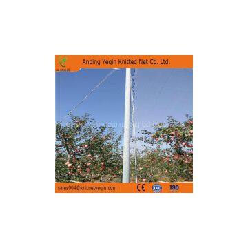 55g HDPE fruit tree protection net plastic anti-hail net for sale