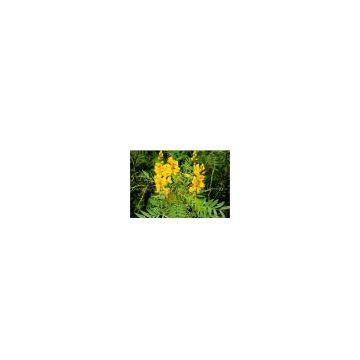 Senna  extract