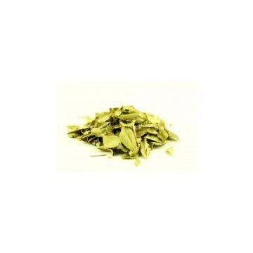 Buchu Leaf Extract