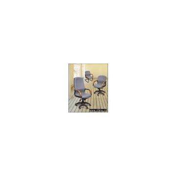 Pegasus office chair