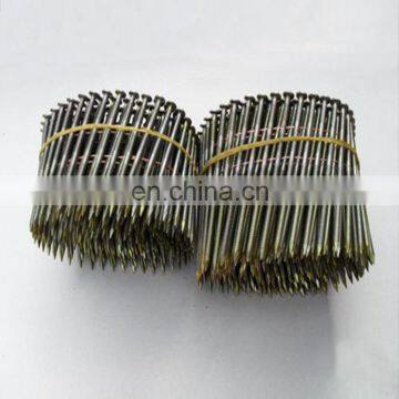 1 1/4 Coil Roofing Nails / Coil Nails for Pallet Price Coiled Clout Nail