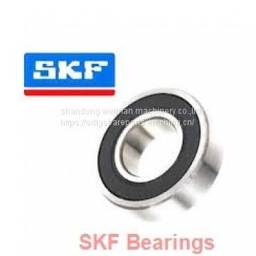 SKF Bearings