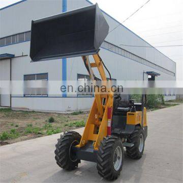 China Roue Minicargadoras photo-4