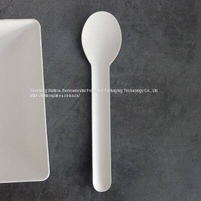 Tableware Zero Waste 100% Compostable Biodegradable Disposable Paper Pulp Spoon photo-3