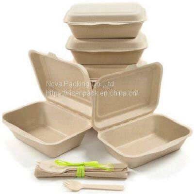 Biodegradable Sugarcane Bagasse Pulp Tableware photo-3