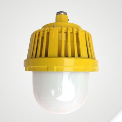 50W LED Explosion Proof Light for Oil Field Platform Mining Industry Energy Saving