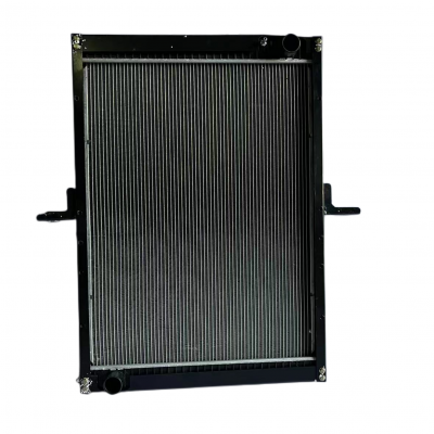 AUMAN good value for money accessories radiator 1125113106001 for 3252