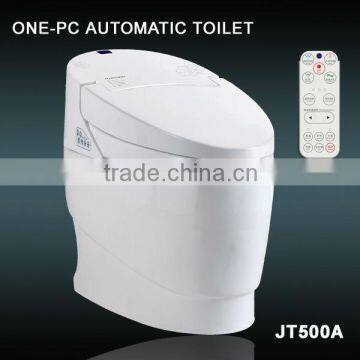 JT500A western electric toilet