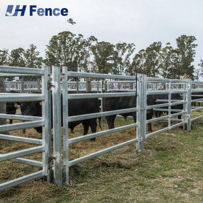 Unbreakable Cattle Panels: Heavy-Duty Welded Steel for Maximum Livestock Security & Long-Term Ranch Durability photo-2