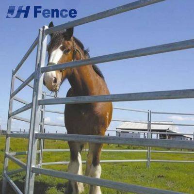 Safe Stall Horse Panel: Seamless Solid Design Prevents Leg Injuries and Provides Maximum Security for Horses