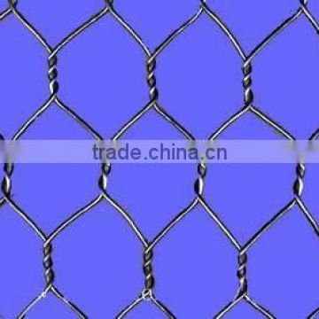 chicken wire mesh fence Netting(maufacturer)