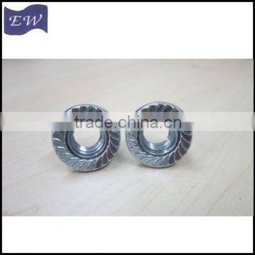 Din6923 Serrated Flange Hex Nut (DIN6923) photo-4