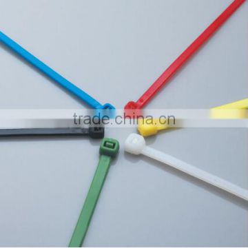 made in china self locking nylon cable zip ties                        
                                                Quality Choice