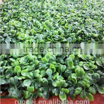 Artificial Boxwood Foliage Hedge Wall Panels                        
                                                Quality Choice