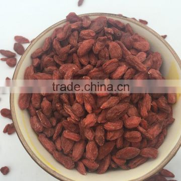 Edible Goji Berries Dried