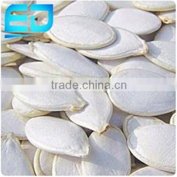 Pure White Pumpkin Seeds, Snow White from China