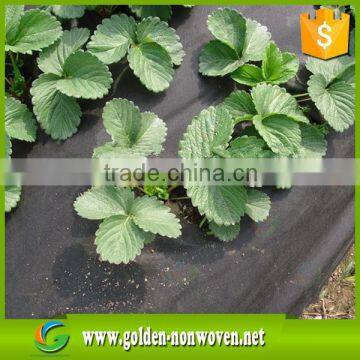 50gsm Vliesstoff Non-woven Fabrics Export Weed Control Fabric Black photo-2