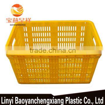 Plastic Fruit Basket for Orange Transportation photo-3
