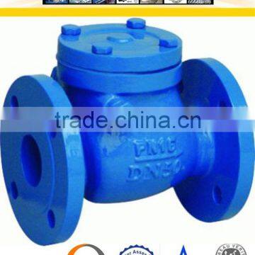 Cast Iron Check Valve Price photo-3