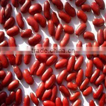 China Small Red Beans for Sale