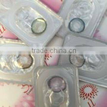 wholesale price korea seeshell popular cosmetic contact lens