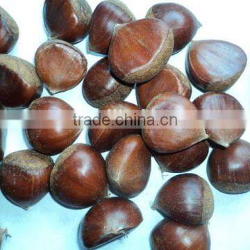 Good Price Fresh Chestnut for Sale in Dandong With Chinese Chestnuts Wholesale. Eating Chinese Chestnuts! photo-2