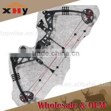 China Archery 310fps Compound Bow for Sale photo-2