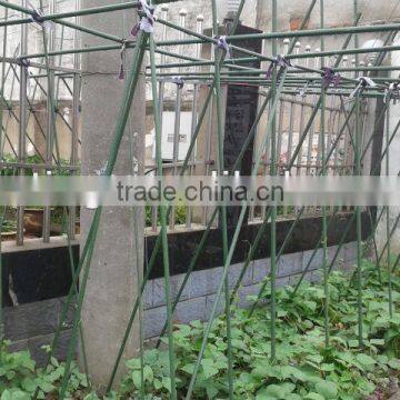 garden plants shelves