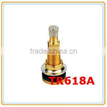 TR618A Wholesale Truck Tire Parts Tire Valve/Clamp-in Tubeless Tire Valve