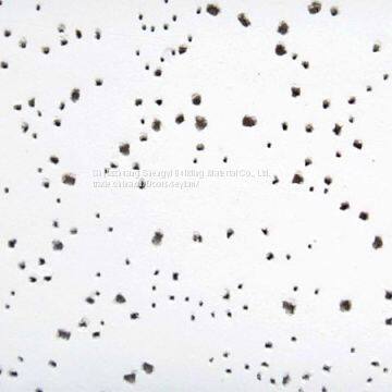 Airport, Subway, Library, Museum, Factory Building Mineral Fiber Ceiling/Board photo-3