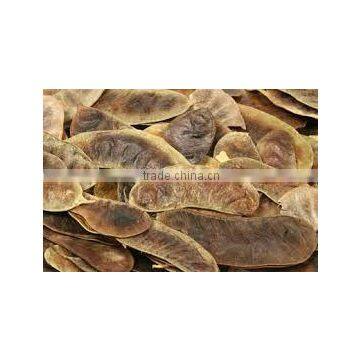 SENNA LEAVES photo-2