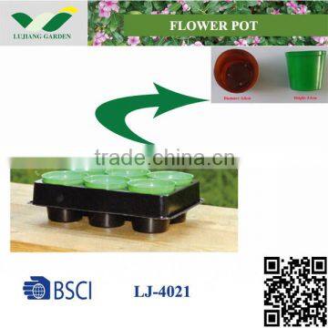 Plastic 6 pots tray LJ-4021