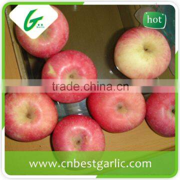 Hot sale bagged fresh red fuji apple